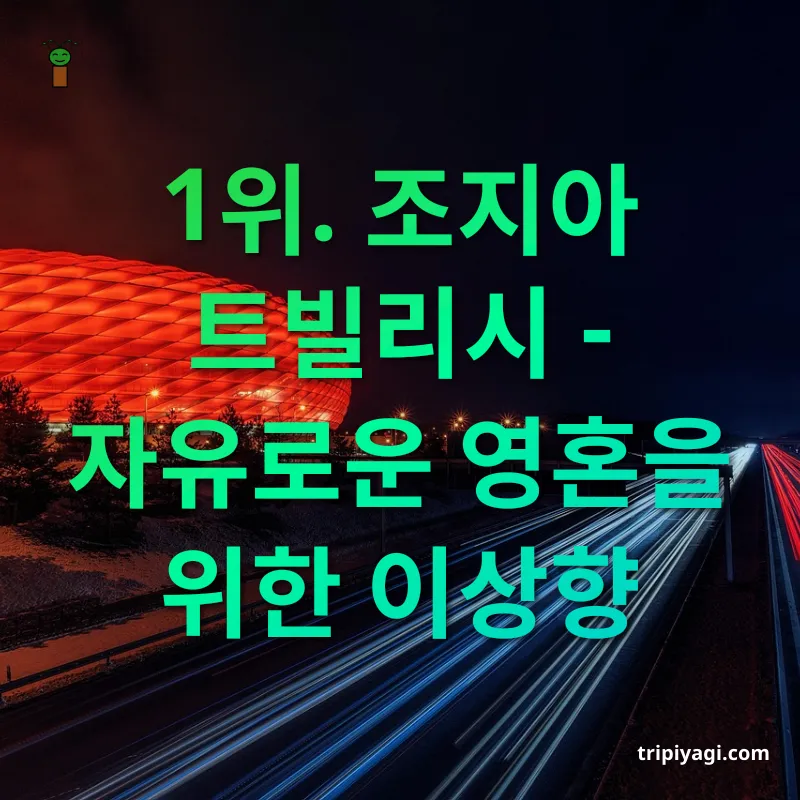 장기 체류 여행지 트빌리시 - 노마드의 성지 관련 이미지