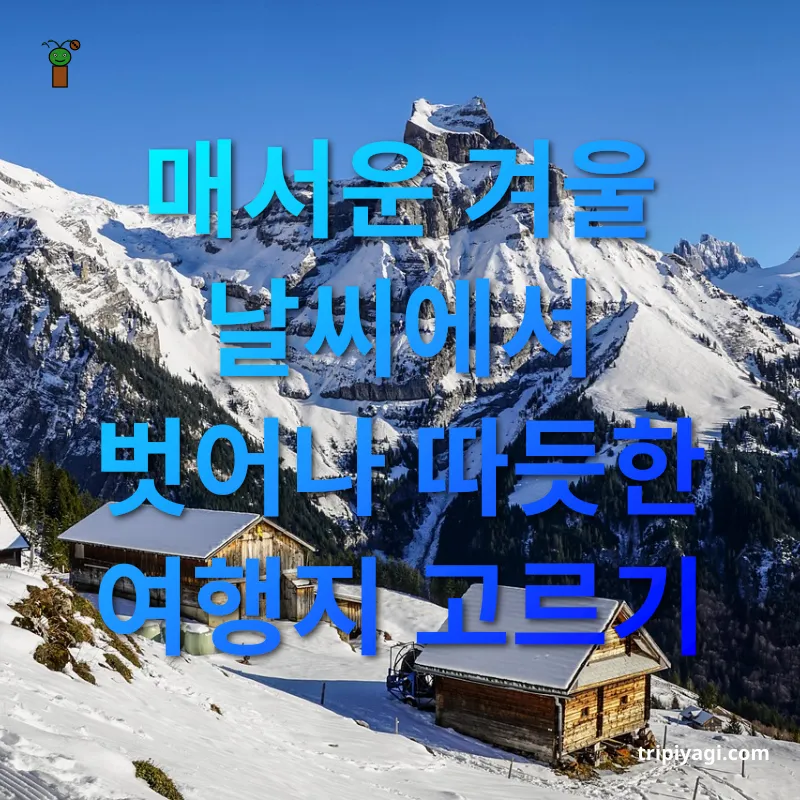 겨울 여행 남녀노소 모두가 즐길 수 있는 겨울 여행지 관련 이미지