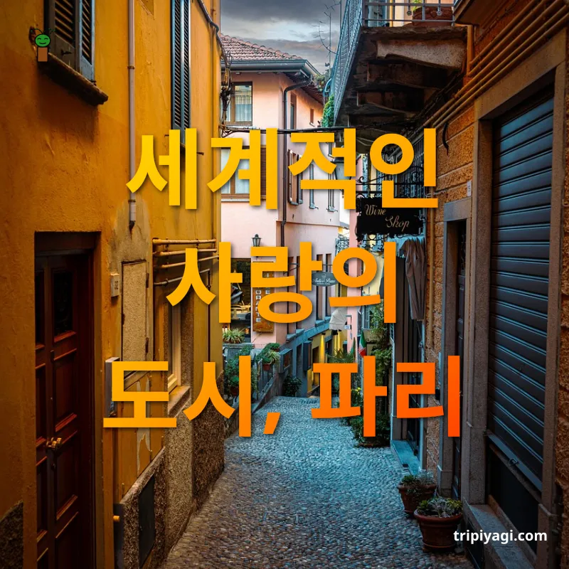 사랑의 여행지 에펠탑과 세느 강변의 낭만 관련 이미지