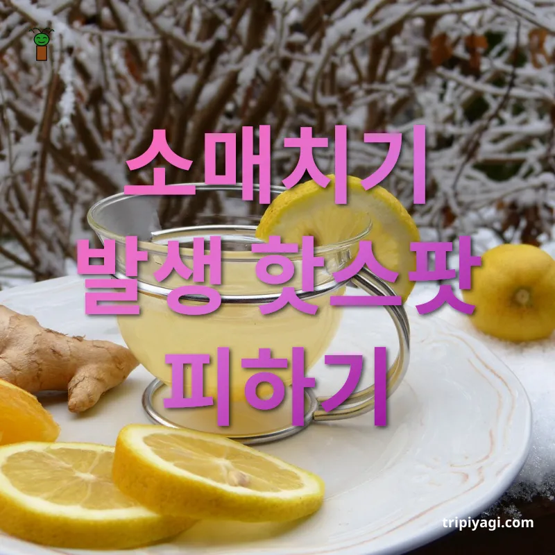소매치기 예방 - 유명 관광지 주변에 주의 소매치기 예방 유명 관광지 주변에 주의 관련 이미지