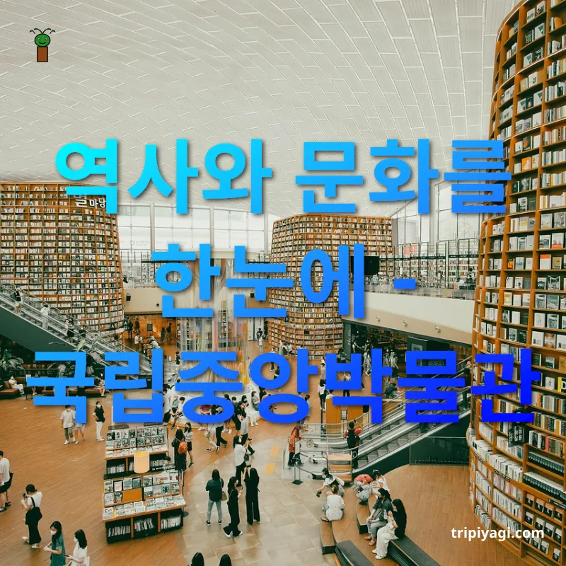 여행으로 즐기는 서울 여행 - 역사 속으로 빠져들다 여행으로 즐기는 서울 여행 역사 속으로 빠져들다 관련 이미지