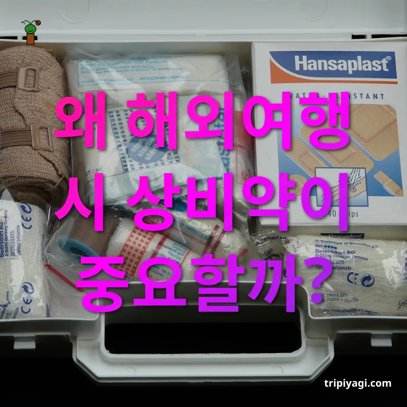 여행 상비약 언어와 문화의 장벽 관련 이미지