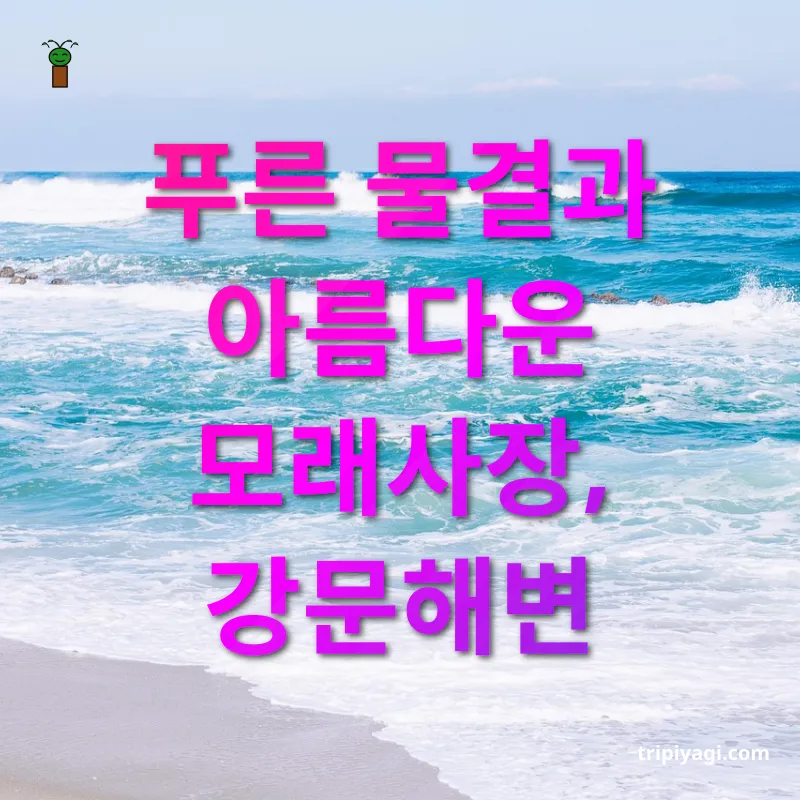 강릉 바다 여행 강문해변의 매력 관련 이미지