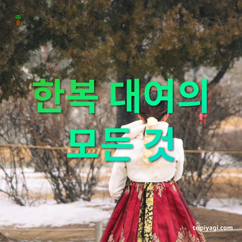 한복 여행 - 다양한 옷 선택의 기쁨 한복 여행 다양한 옷 선택의 기쁨 관련 이미지
