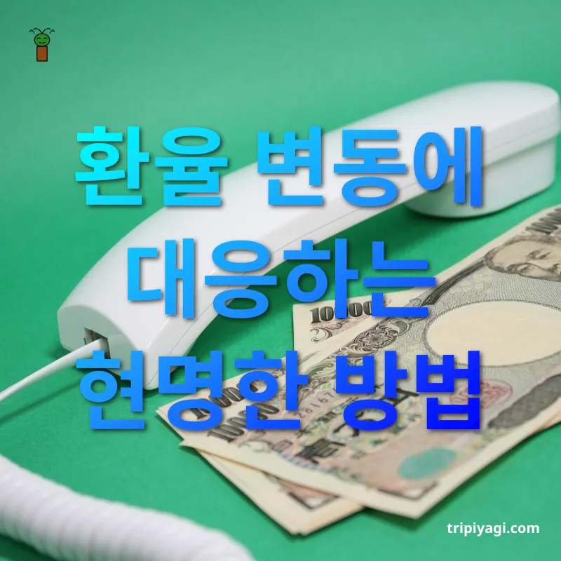 엔화 환전 환율을 꾸준히 체크하세요 관련 이미지
