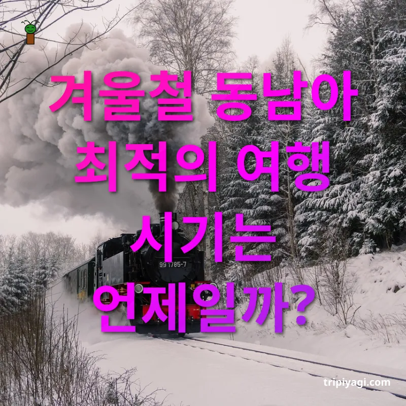 겨울 여행 겨울철 동남아 최적의 여행 시기는 언제일까? 관련 이미지