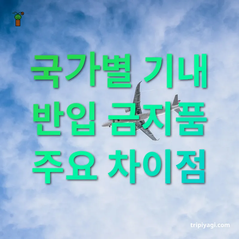 해외여행 기내 반입 금지품 - 국가별 기내 반입 금지품 주요 차이점 해외여행 기내 반입 금지품 국가별 기내 반입 금지품 주요 차이점 관련 이미지