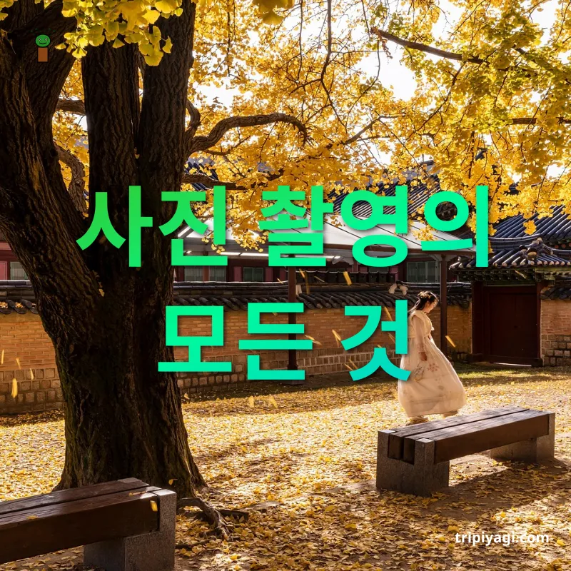 한복 여행 - 사진 촬영의 모든 것 한복 여행 사진 촬영의 모든 것 관련 이미지