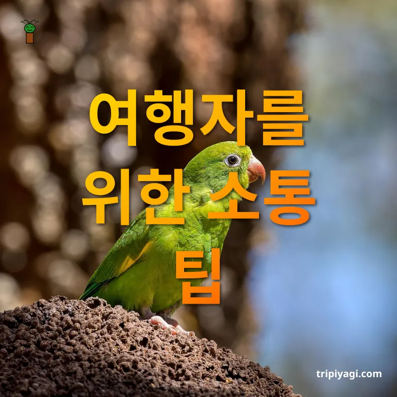 남미여행 준비 여행자를 위한 소통 팁 관련 이미지