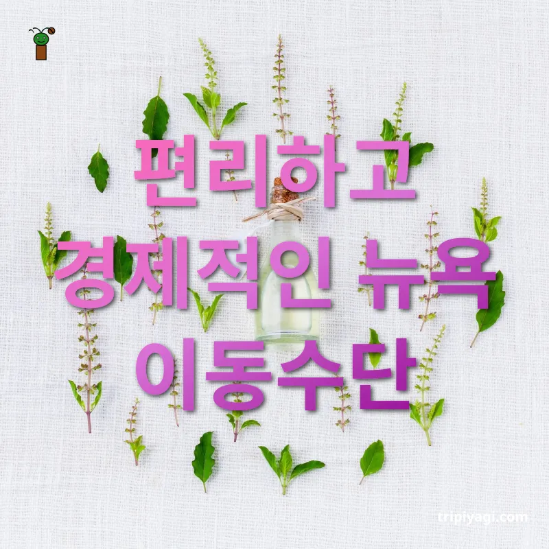 여행 필수 앱 편리하고 경제적인 뉴욕 이동수단 관련 이미지