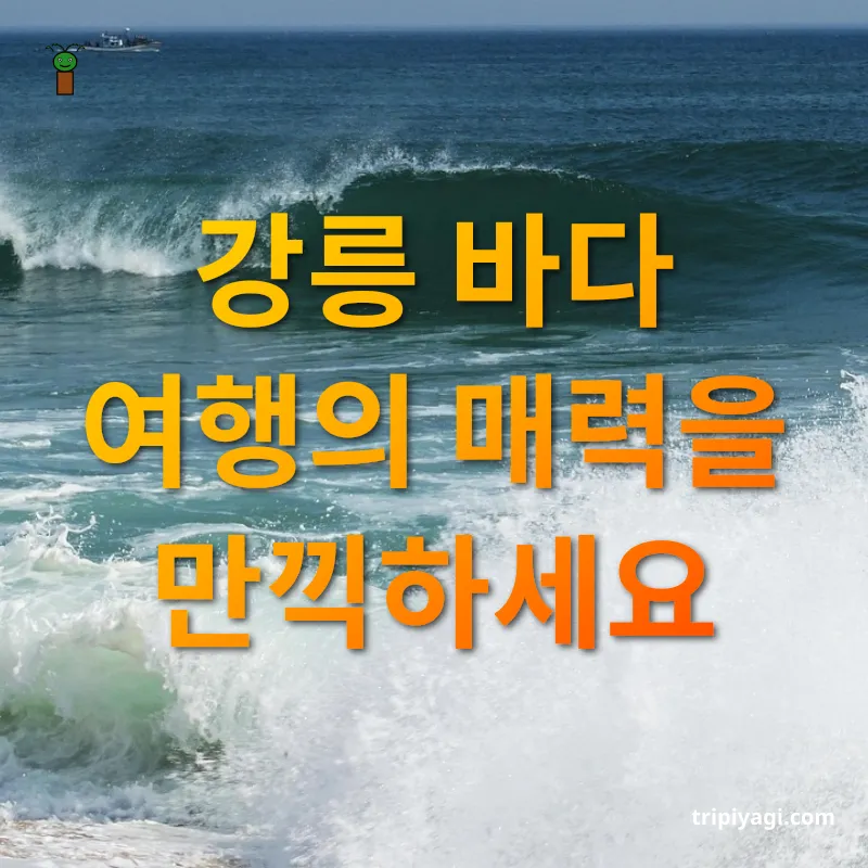 강릉 바다 여행 강릉 바다 여행의 매력을 만끽하세요 관련 이미지