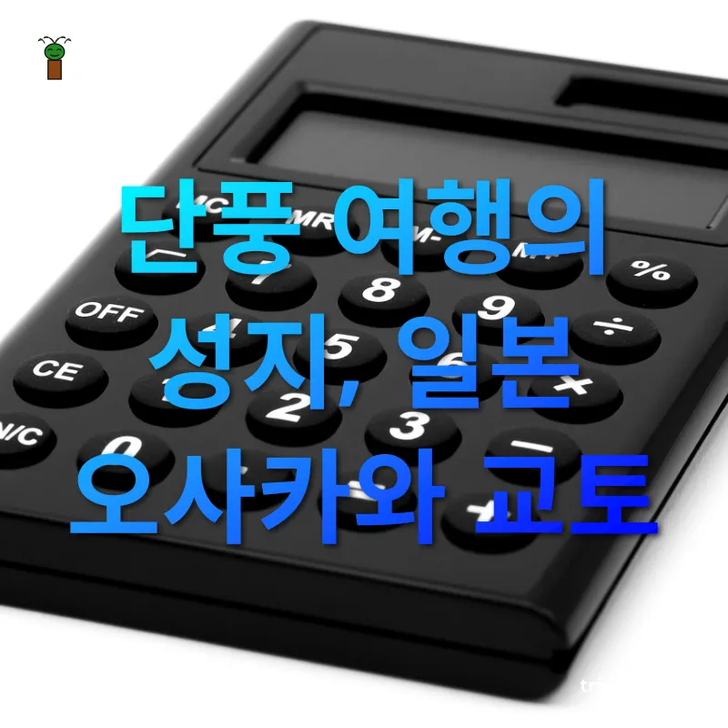 해외여행 가성비 - 단풍 여행의 성지, 일본 오사카와 교토 해외여행 가성비 단풍 여행의 성지, 일본 오사카와 교토 관련 이미지
