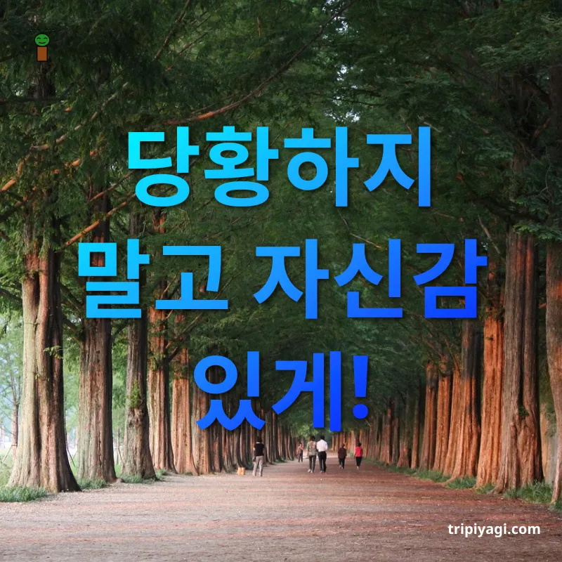 해외여행 길 찾기 당황하지 말고 자신감 있게! 관련 이미지