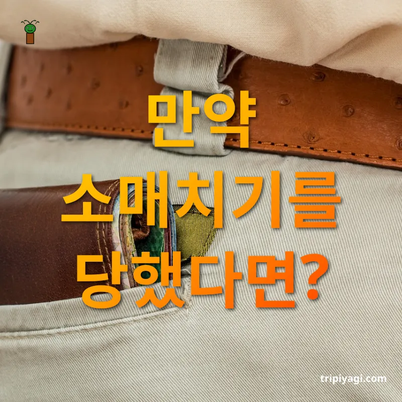 소매치기 예방 - 만약 소매치기를 당했다면? 소매치기 예방 만약 소매치기를 당했다면? 관련 이미지