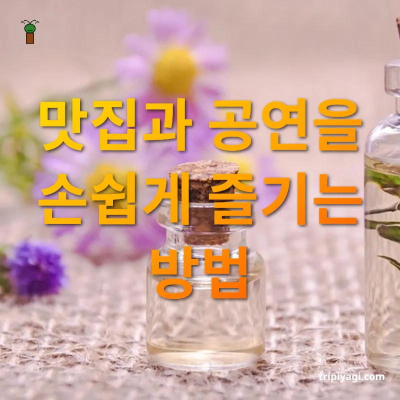 여행 필수 앱 맛집과 공연을 손쉽게 즐기는 방법 관련 이미지