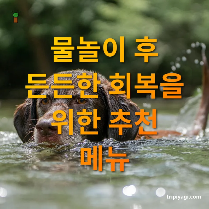 반려동물 여름 여행 물놀이 후 든든한 회복을 위한 추천 메뉴 관련 이미지