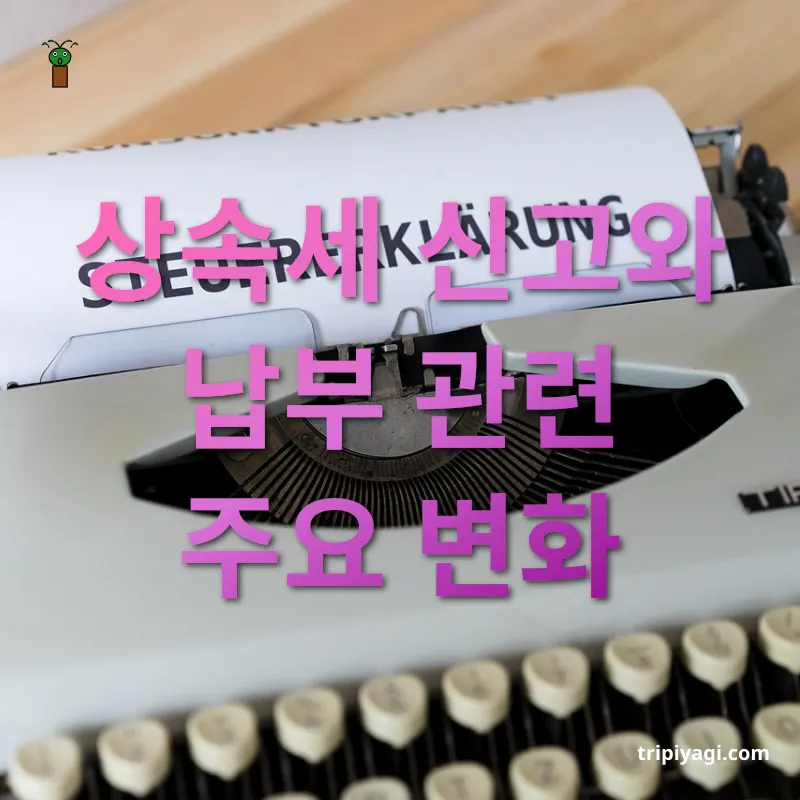 상속세 개편 상속세 신고와 납부 관련 주요 변화 관련 이미지