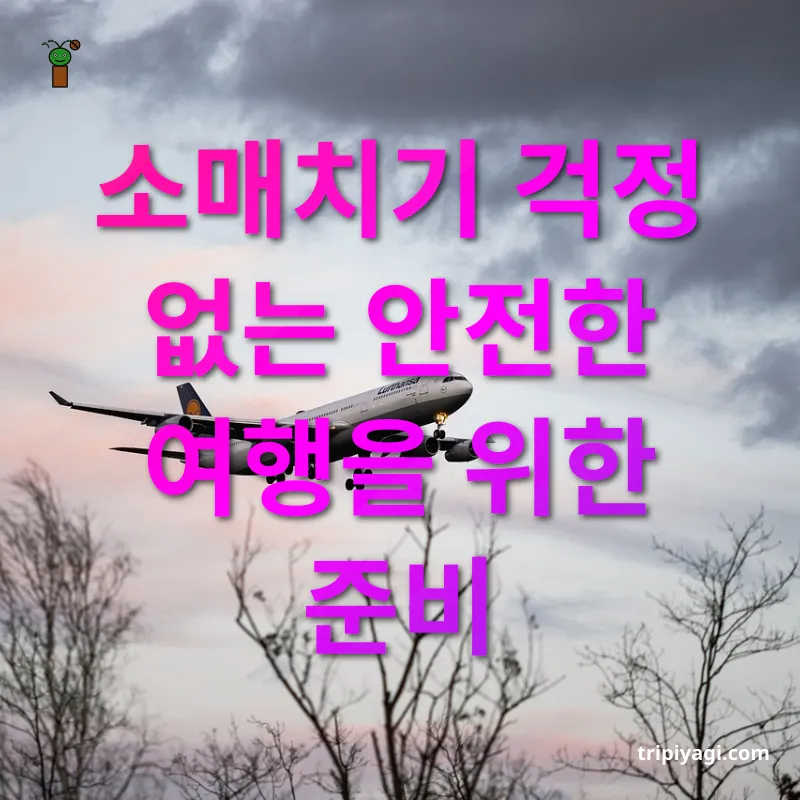 해외여행 준비 소매치기 걱정 없는 안전한 여행을 위한 준비 관련 이미지