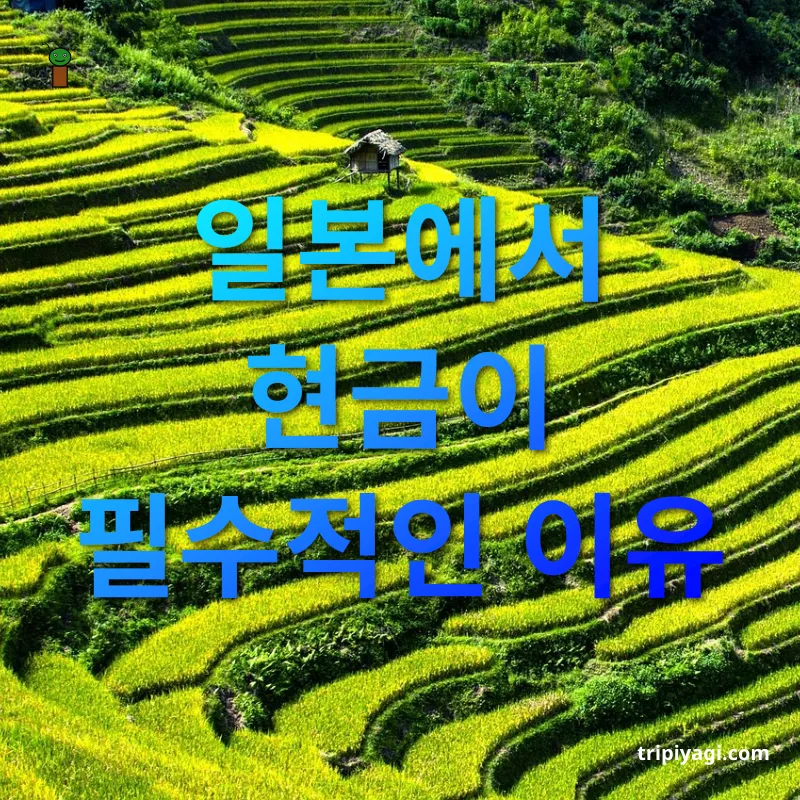 엔화 환전 일본에서 현금이 필수적인 이유 관련 이미지