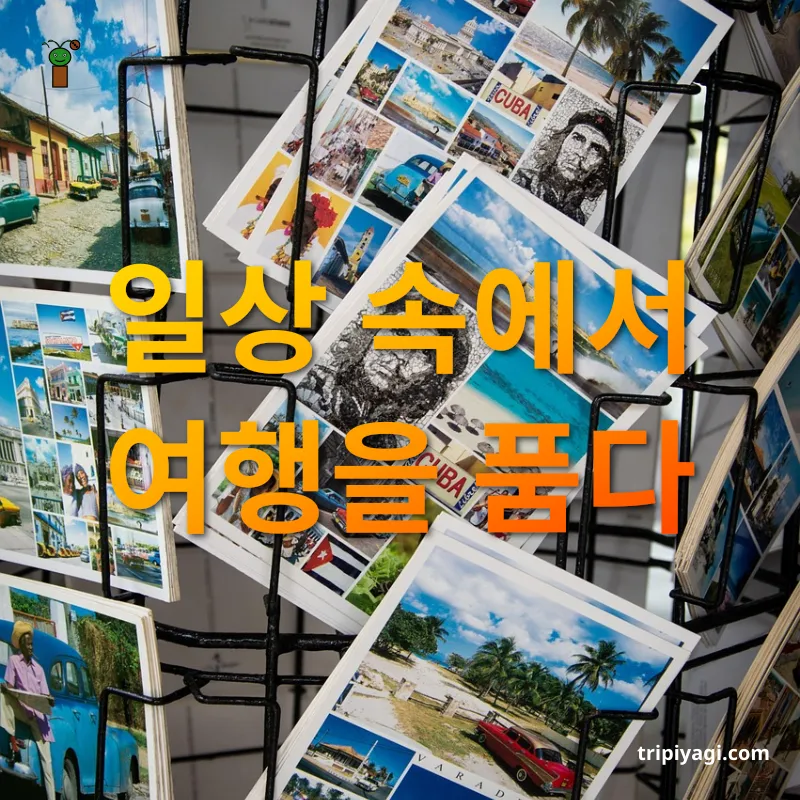 여행지 기념품 일상 속에서 여행을 품다 관련 이미지