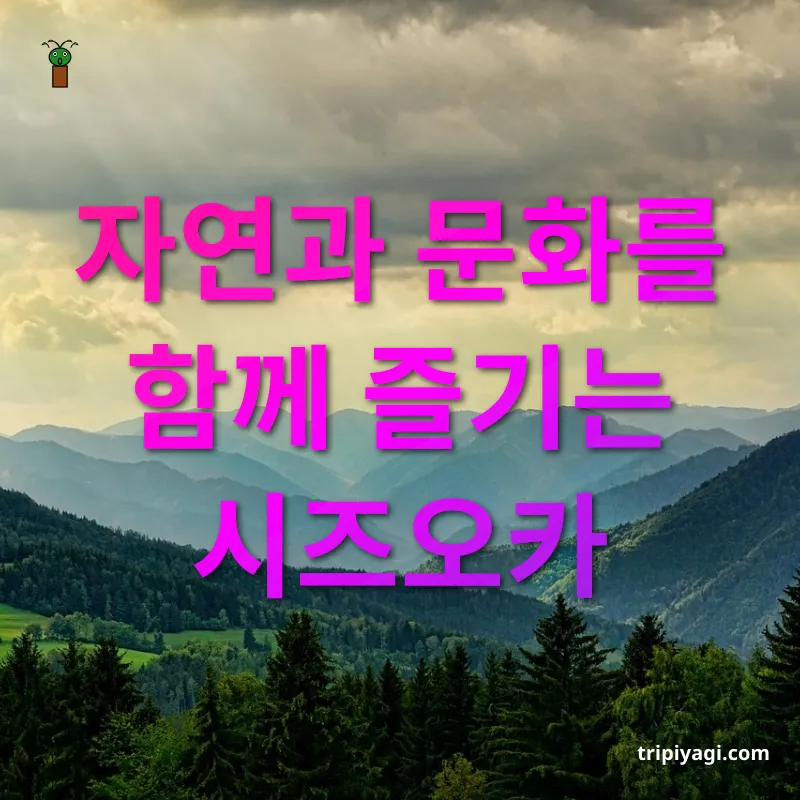 일본 혼자 여행 자연과 문화를 함께 즐기는 시즈오카 관련 이미지