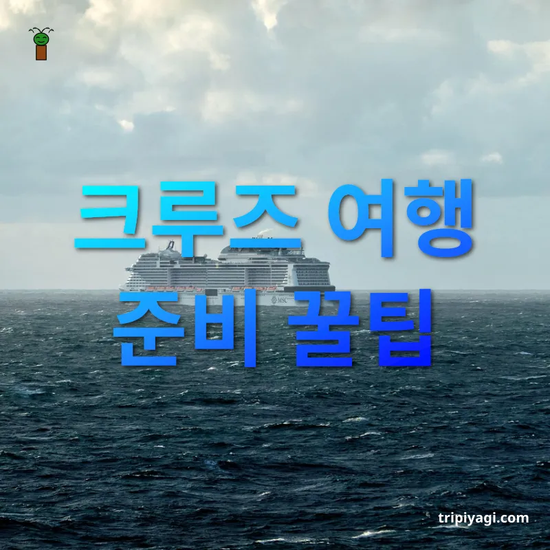 크루즈 여행 크루즈 여행 준비 꿀팁 관련 이미지