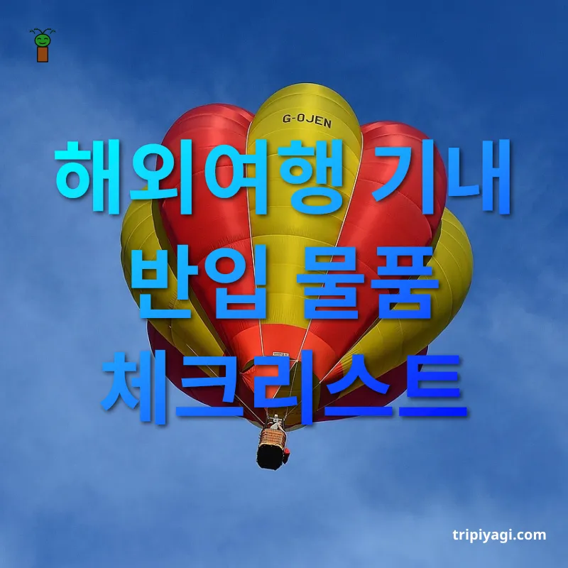 해외여행 기내 반입 금지품 - 해외여행 기내 반입 물품 체크리스트 해외여행 기내 반입 금지품 해외여행 기내 반입 물품 체크리스트 관련 이미지