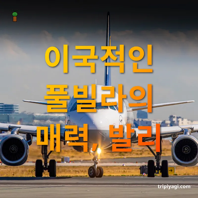 해외여행 가성비 - 이국적인 풀빌라의 매력, 발리 해외여행 가성비 이국적인 풀빌라의 매력, 발리 관련 이미지