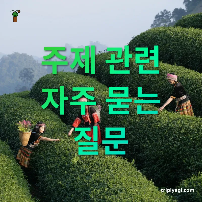 한복 체험 주제 관련 자주 묻는 질문 관련 이미지