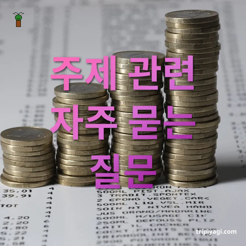 여행 예산 관리 주제 관련 자주 묻는 질문 관련 이미지