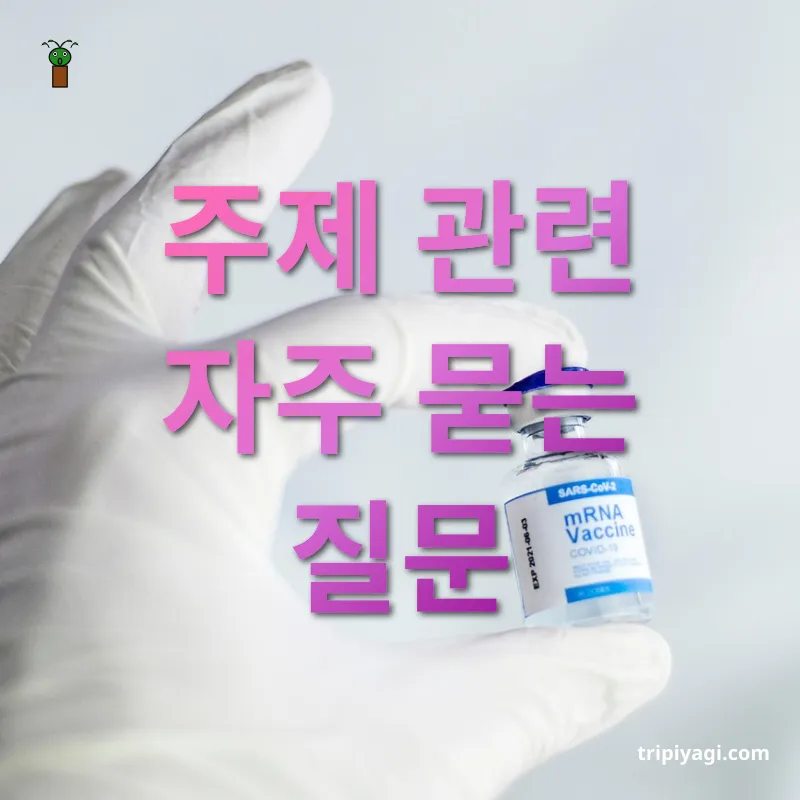 소매치기 예방 - 주제 관련 자주 묻는 질문 소매치기 예방 주제 관련 자주 묻는 질문 관련 이미지