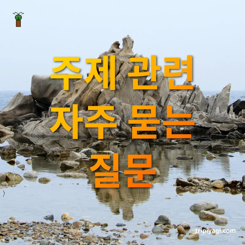 강릉 바다 여행 주제 관련 자주 묻는 질문 관련 이미지