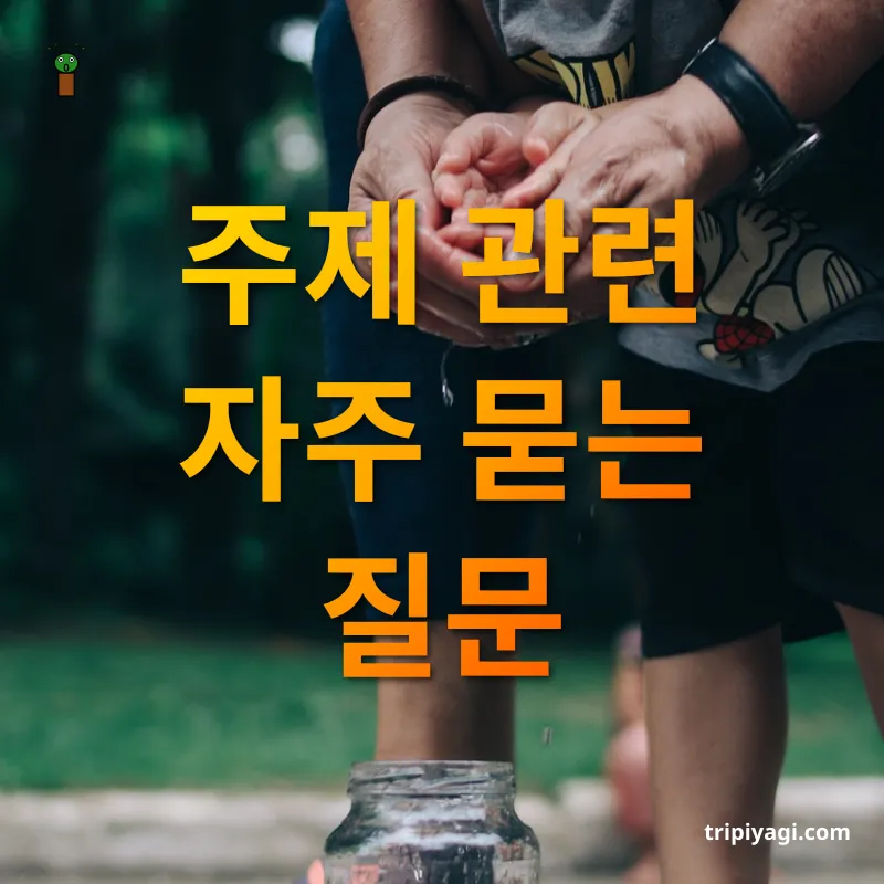 해외여행 길 찾기 주제 관련 자주 묻는 질문 관련 이미지