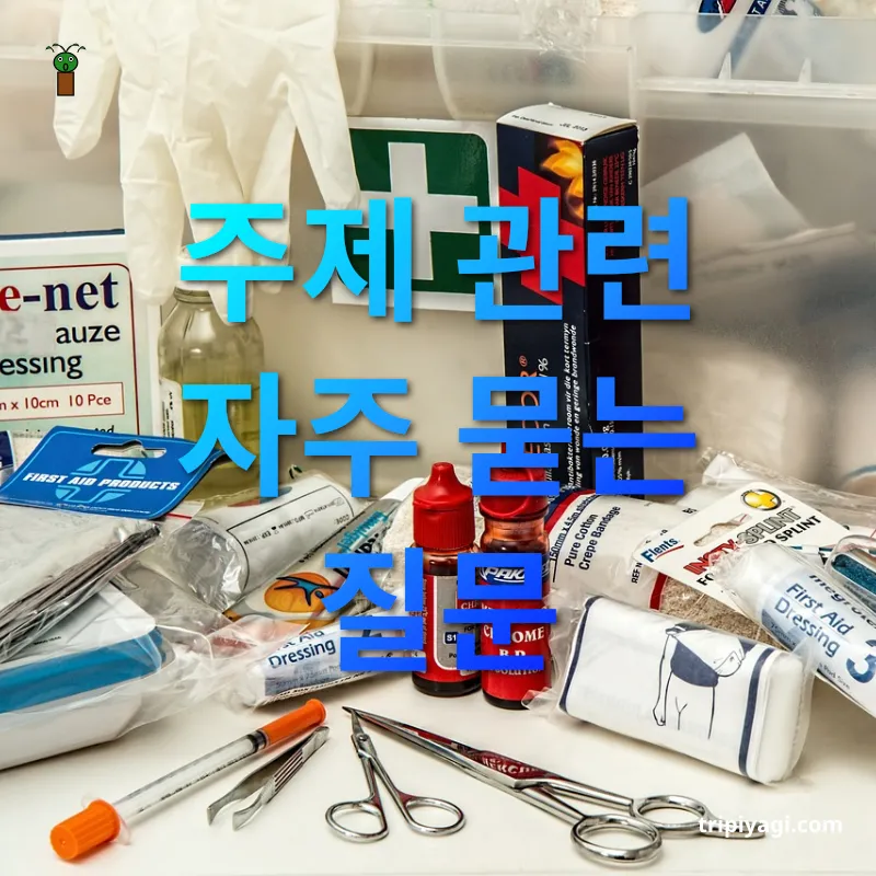 여행 상비약 주제 관련 자주 묻는 질문 관련 이미지