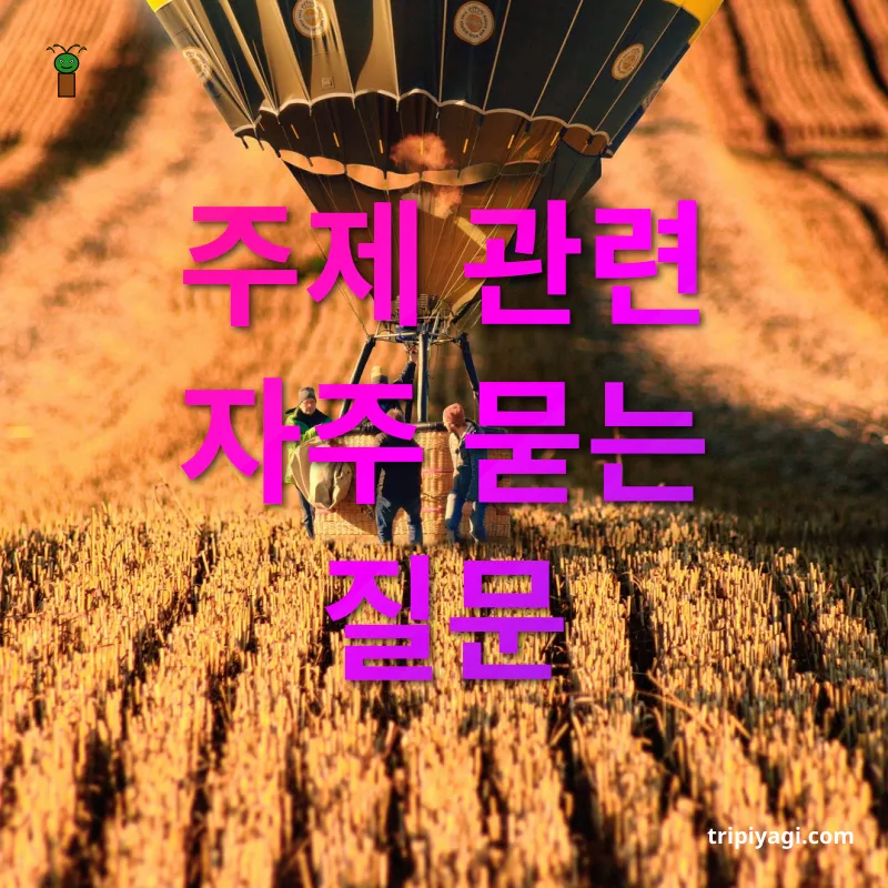 해외여행 기내 반입 금지품 - 주제 관련 자주 묻는 질문 해외여행 기내 반입 금지품 주제 관련 자주 묻는 질문 관련 이미지