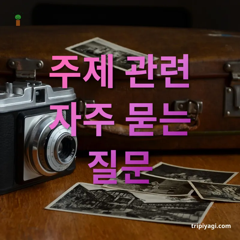 여행지 기념품 주제 관련 자주 묻는 질문 관련 이미지