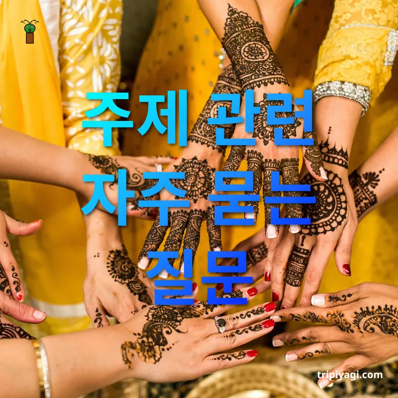세계 문화축제 주제 관련 자주 묻는 질문 관련 이미지