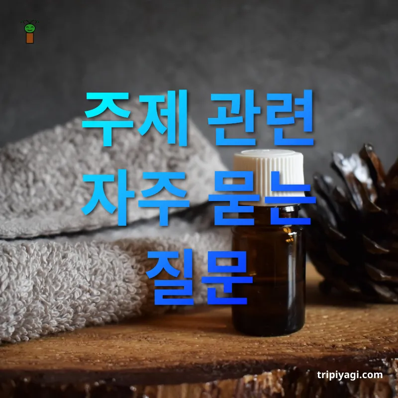 여행 필수 앱 주제 관련 자주 묻는 질문 관련 이미지