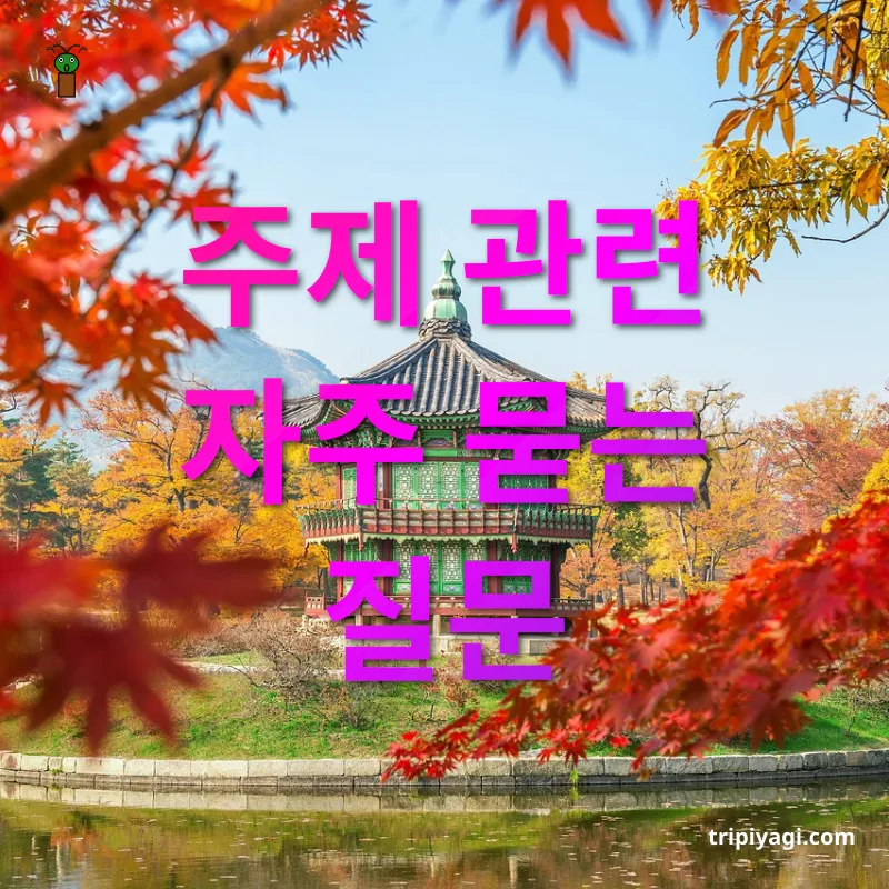 여행으로 즐기는 서울 여행 - 주제 관련 자주 묻는 질문 여행으로 즐기는 서울 여행 주제 관련 자주 묻는 질문 관련 이미지
