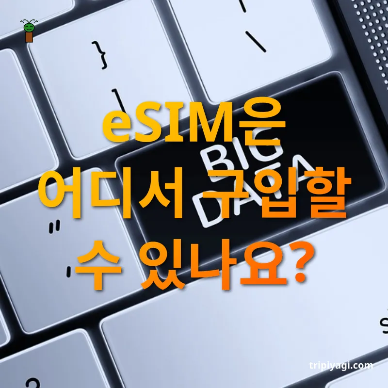해외 여행 데이터 솔루션 - 여행지 전용 eSIM 선택하기 해외 여행 데이터 솔루션 여행지 전용 eSIM 선택하기 관련 이미지