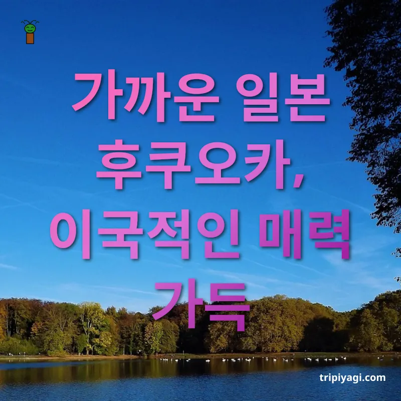 주말 해외여행 - 한국과 가장 가까운 해외여행지 주말 해외여행 한국과 가장 가까운 해외여행지 관련 이미지