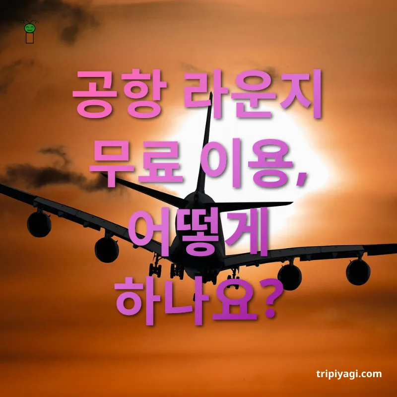 공항 라운지 무료 이용 - 제휴 카드로 신청하기 공항 라운지 무료 이용 제휴 카드로 신청하기 관련 이미지