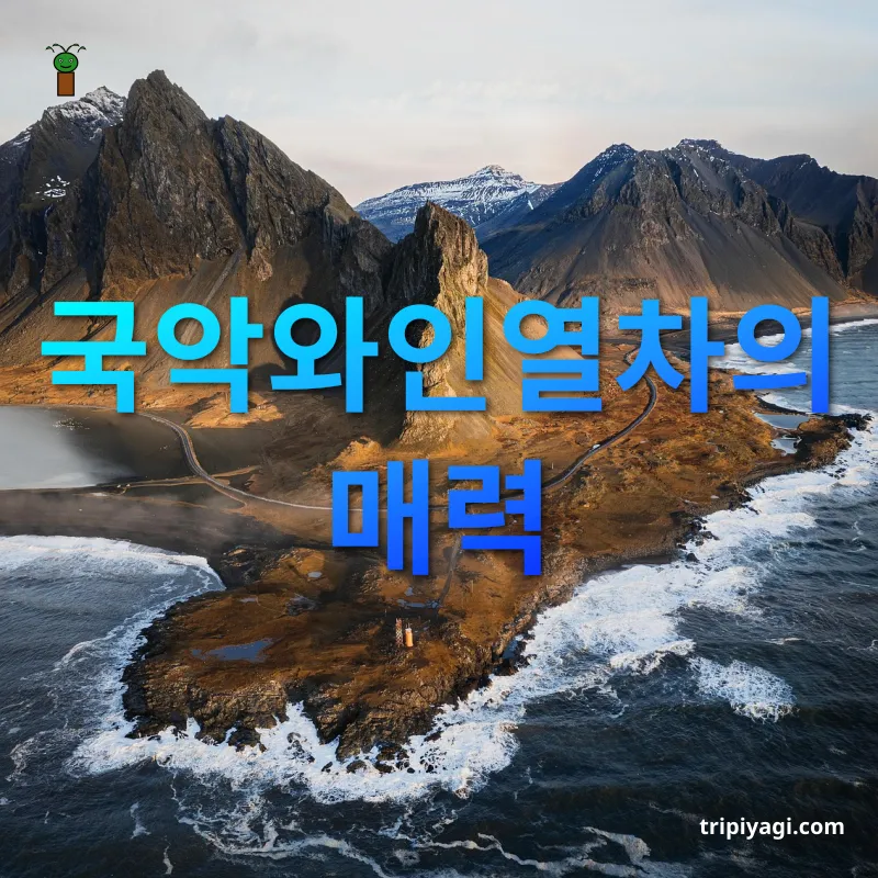 동해 여행 열차 내 다채로운 즐길거리 관련 이미지