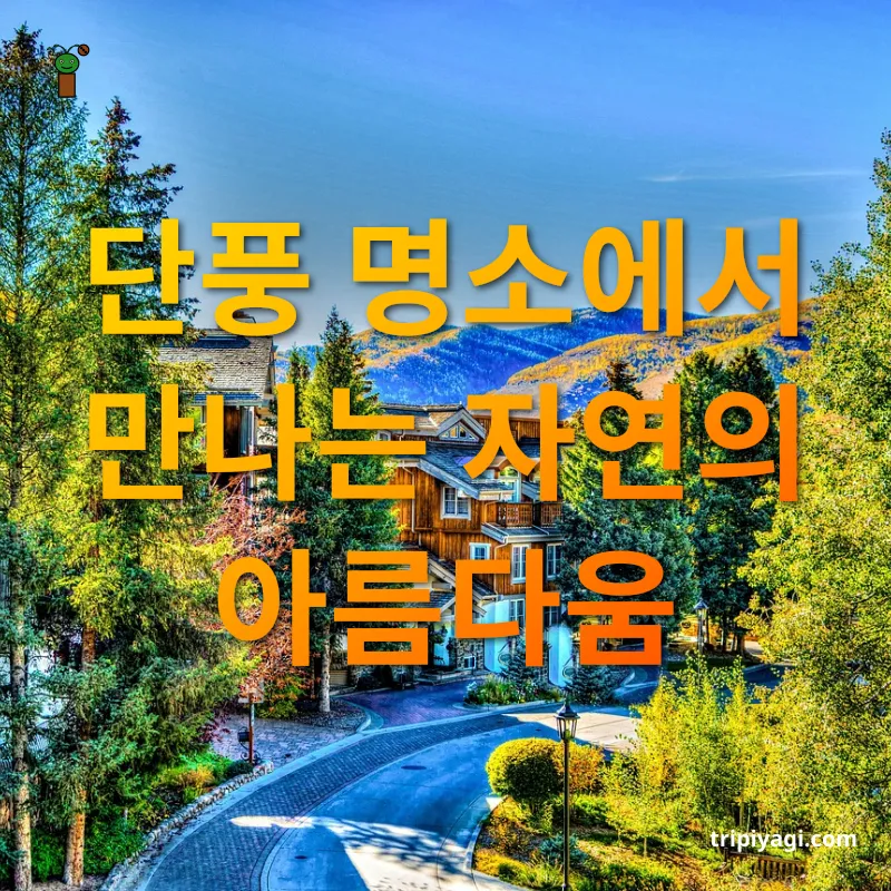 단풍 여행지 탐험 - 전국 단풍 명소 베스트 6 단풍 여행지 탐험 전국 단풍 명소 베스트 6 관련 이미지