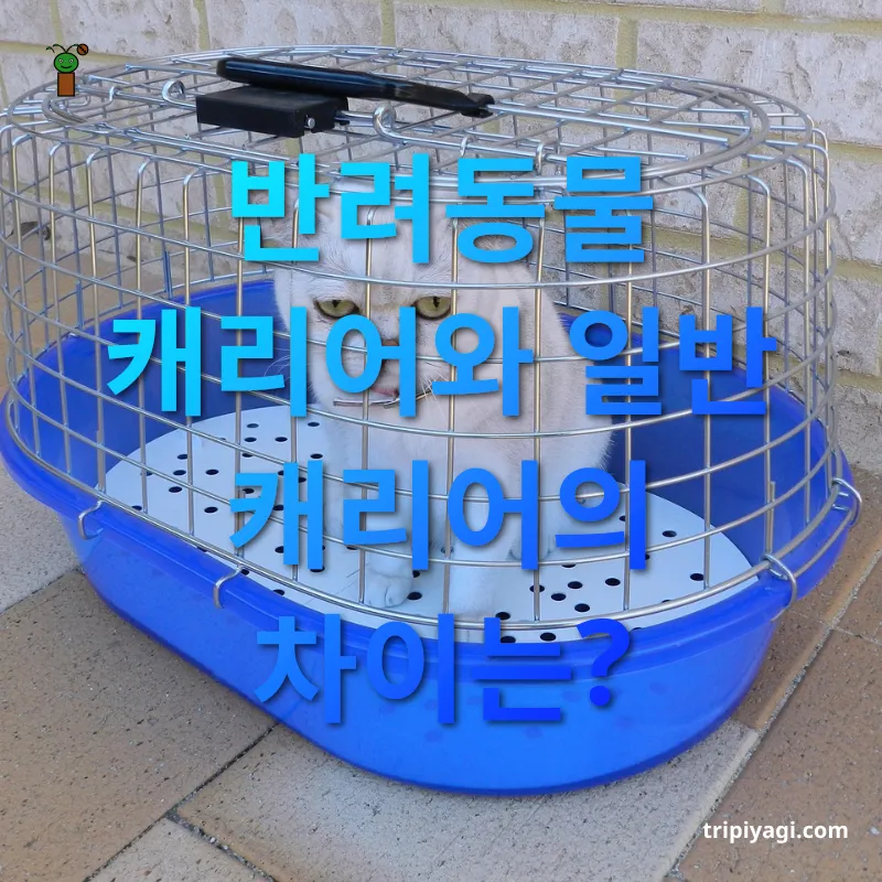 반려동물 여행 캐리어 - 반려동물 캐리어의 필수 기능 반려동물 여행 캐리어 반려동물 캐리어의 필수 기능 관련 이미지
