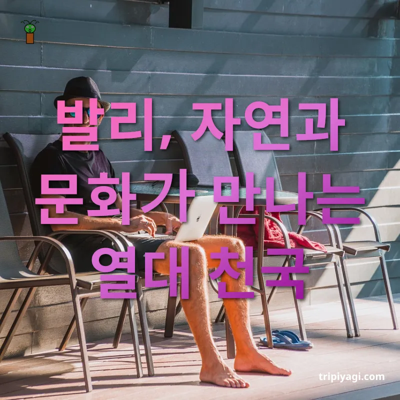 디지털 노마드 - 천혜의 자연 경관 디지털 노마드 천혜의 자연 경관 관련 이미지
