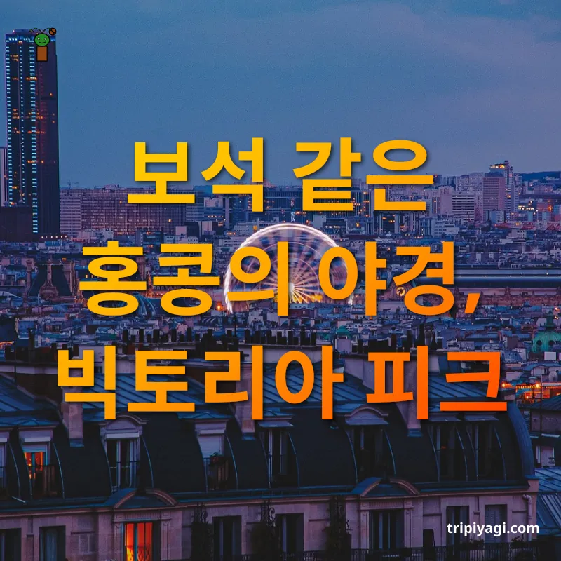 야경 여행 밤하늘을 화려하게 수놓다 관련 이미지