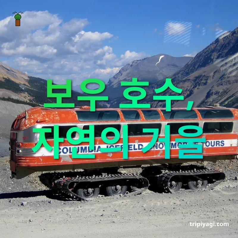 아이스필드 파크웨이 크로우풋 산에서 태어난 호수 관련 이미지