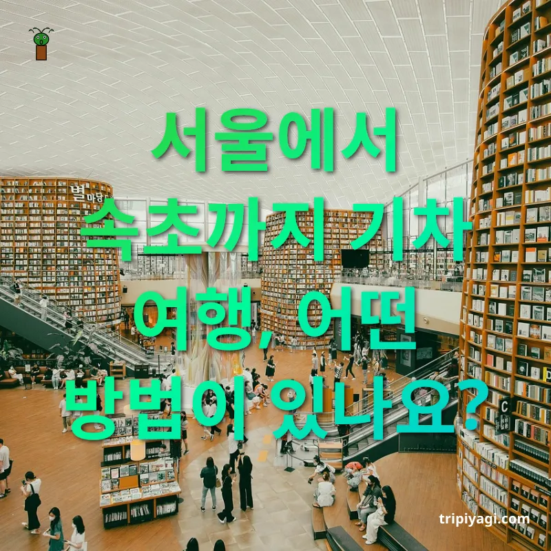 서울에서 속초 여행하기 - 현재 서울에서 속초까지 직행 KTX가 없습니다 서울에서 속초 여행하기 현재 서울에서 속초까지 직행 KTX가 없습니다 관련 이미지
