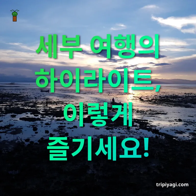 필리핀 세부 여행 - 에메랄드빛 바다와 함께하는 액티비티 필리핀 세부 여행 에메랄드빛 바다와 함께하는 액티비티 관련 이미지